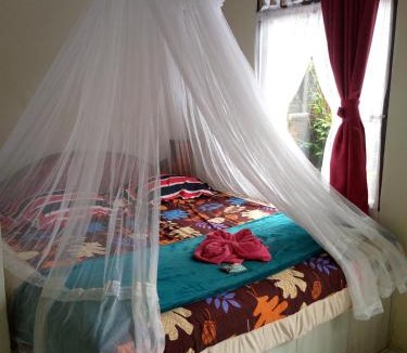 Bukit Lawang House | Tiga dara guest house & jungle trekking bukit Lawang