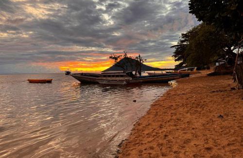 Bunaken House | Tiger fish homestay