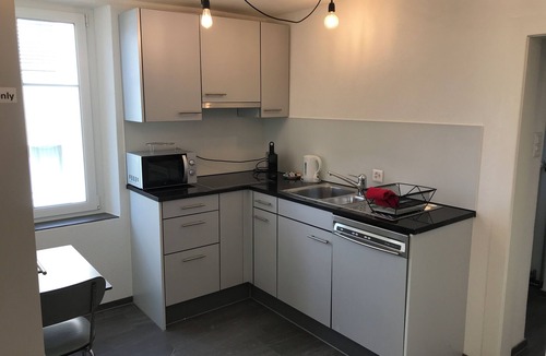 Uster District Apartment | Tilia Apartments