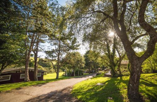 St Brides House | Timber Hill Self Catering Cedar Lodges