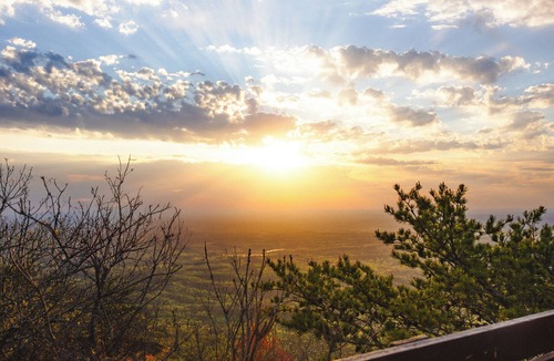 Delta Cabin | Timberline Glamping Cheaha