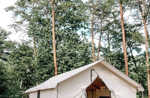 Delta Cabin | Timberline Glamping Cheaha