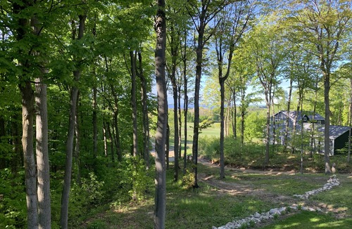 Suttons Bay Apartment | Time to rest and enjoy nature