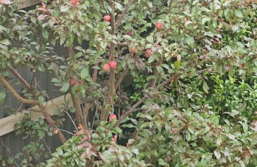 Botanic Ridge House | Timeless Safaris