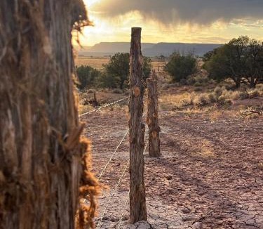Kanab House | Tiny Cabin #1 at The Cedars