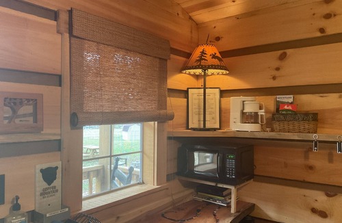 Sylva Cabin | Tiny cabin by the creek