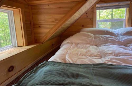 Oliverea Villa | Tiny Cat Country Cabin