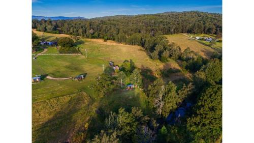Glenreagh House | Tiny Creekside Cabin by Tiny Away
