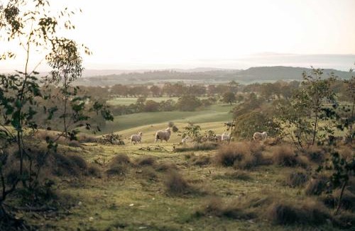 Metcalfe House | Tiny Harper