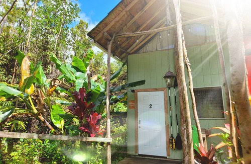 Fern Forest Cabin | tiny home 2 rustic with kitchen near Volcano National Park