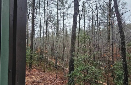 Morganton Cabin | Tiny home in the trees