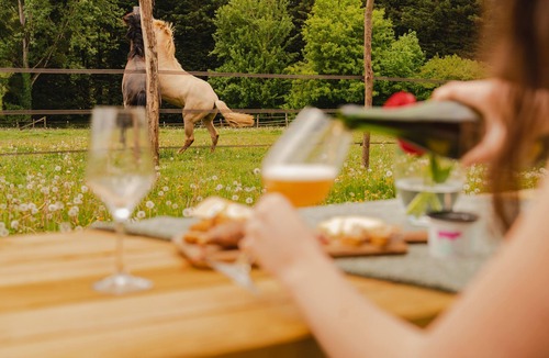 Dame-Marie Cabin | Tiny House au Coeur du Perche