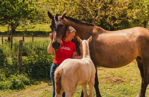 Dame-Marie Cabin | Tiny House au Coeur du Perche