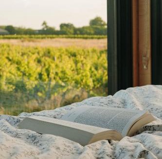 Arbis Cabin | Tiny House au milieu des Vignes