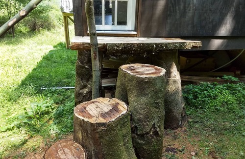 Livingston Manor Cottage | Tiny House Cabin in Livingston Manor, NY