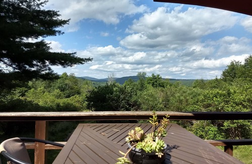 Livingston Manor Cottage | Tiny House Cabin in Livingston Manor, NY