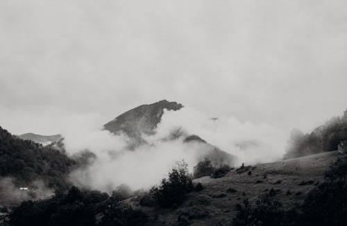 Seix House | Tiny House Casa de Lili