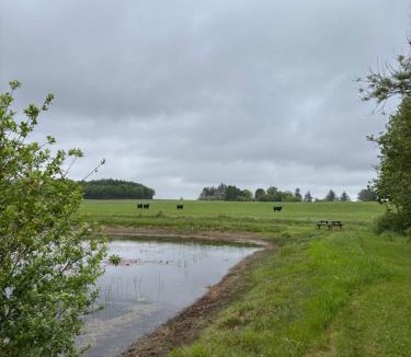 Hejnsvig House | Tiny House Countryside