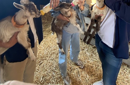 Le Breuil House | Tiny House Dans un Centre Équestre