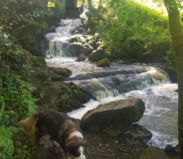 Prat House | tiny house du poulloguer