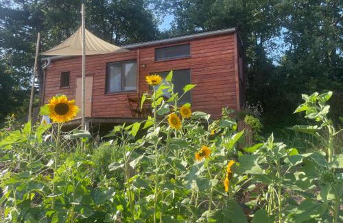 Cubieres-sur-Cinoble Ski Chalet | Tiny House en bois