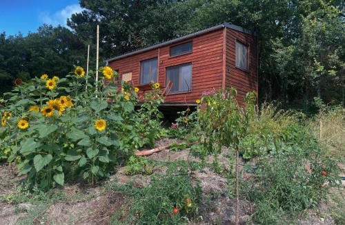 Cubieres-sur-Cinoble Ski Chalet | Tiny House en bois