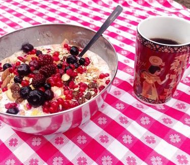 Chalon-sur-Saone House | Tiny House Eurovelo 6