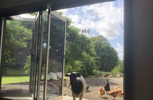 Eungella House | Tiny House Farm Stay Mt Warning