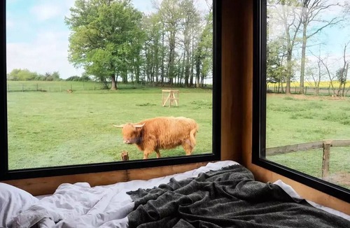 Les Hays Cabin | Tiny House in the heart of the Jura: a dream getaway for animal lovers - 2 adults + 2 children up to 12 + 1 baby