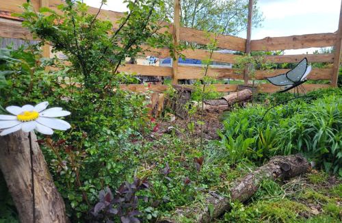 Besson Ski Chalet | Tiny House La Chevêchette