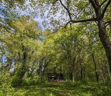Sonchamp House | Tiny House La Clairière au milieu des bois !