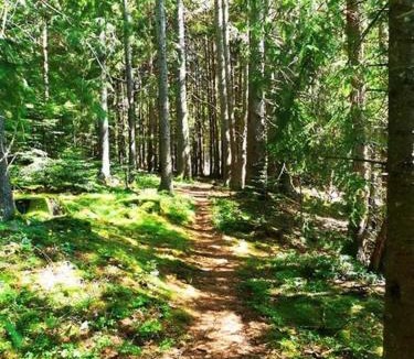 Sembadel Other | Tiny House LA RUCHETTE