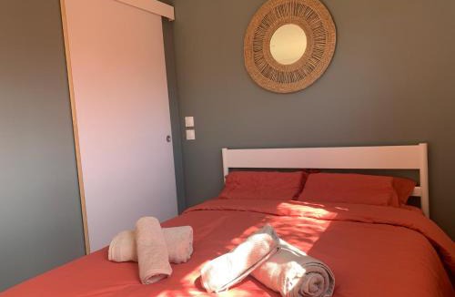 Saverne Cabin | Tiny House le Cocon de Jardin