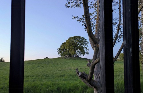 Vordingborg Municipality House | Tiny house overlooking nature