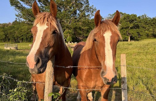 Teilhet House | Tiny house with a beautiful view in 63560 Teilhet