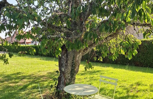 La Veze House | Tiny house with swimming pool