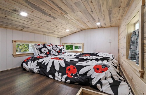 Central Point Other | Tiny Living at its Finest… 🐞