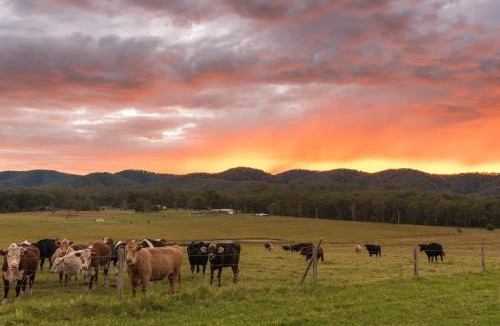 Markwell House | Tiny Madeline