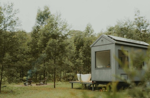 Markwell Cabin | Tiny Madeline Summary