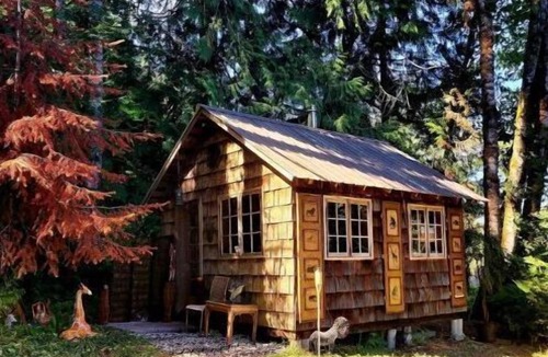 Eatonville Cabin | Tiny Safari themed cabin for 2 with private fire pit & BBQ