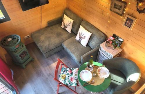 Wasigny House | Tiny somniflore