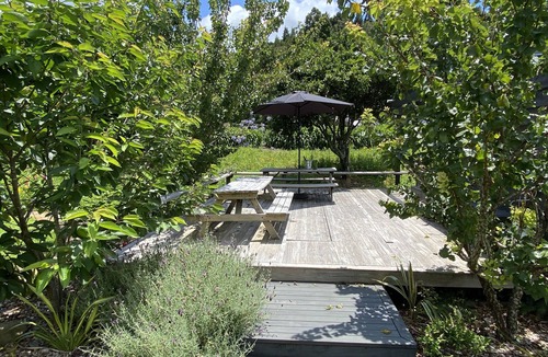 Whangamata Cabin | Tiny Studio - Near New