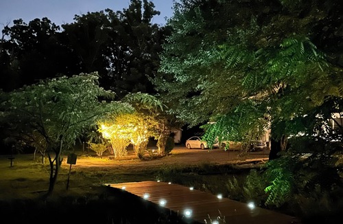 Rosedale Apartment | Tiny tree house