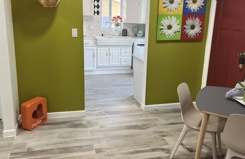 Roosevelt Park House | Tiny tropical Orlando nUnivesal-Disney