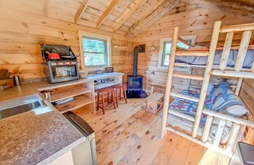 Hovland Cabin | Tiny Tuloon Off-Grid Amish crafted log cabin near the BWCA & SHT - Sled Dogs!