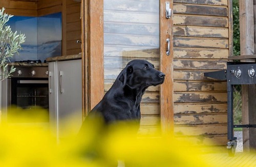 Maidwell Cabin | Tinywood Two