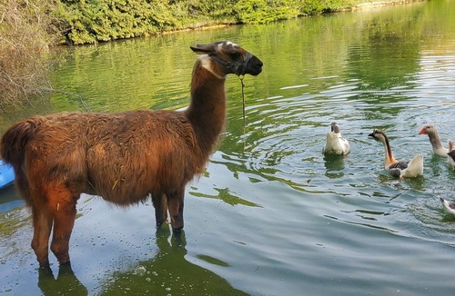 Moulayres Cabin | Tipi des Apaches