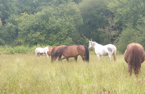 Moulayres Other | Tipi du lac