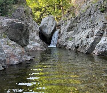 Vialas Other | Tipi Nature a l'Ombre des Tilleuls à Vialas en Cévennes