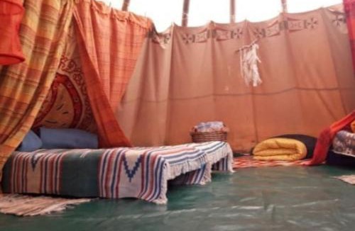 Caille Other | Tipi NCO